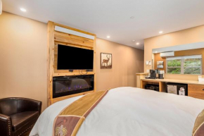 One-Bedroom Studio
